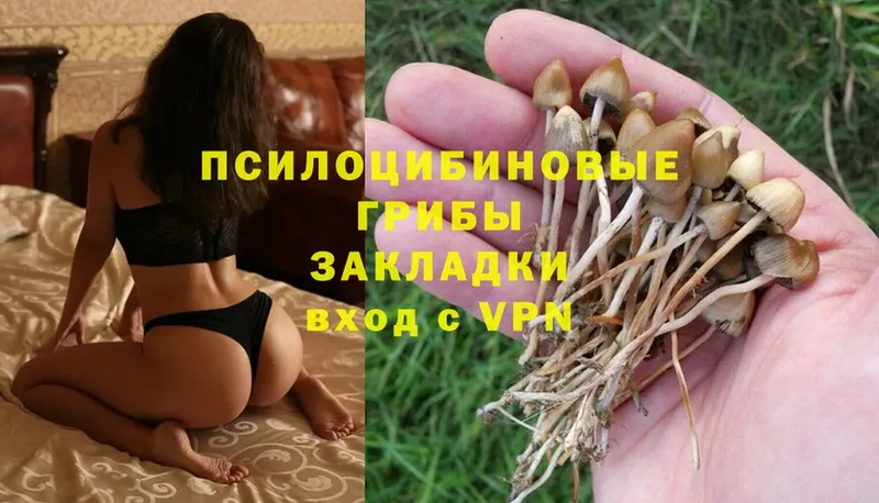 Псилоцибиновые грибы Magic Shrooms  Переславль-Залесский 